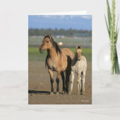 Bob Langrish Kiger Mustang Mare and Foal Standing カード (正面)