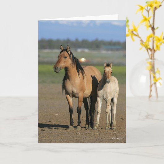 Bob Langrish Kiger Mustang Mare and Foal Standing カード (黄色い花)