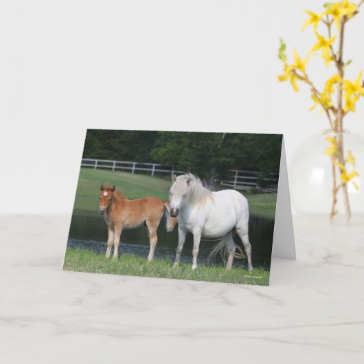 Bob Langrish Miniature Pony Mare and Foal Standing カード (黄色い花)