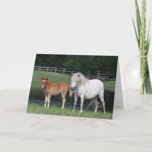 Bob Langrish Miniature Pony Mare and Foal Standing カード (正面)