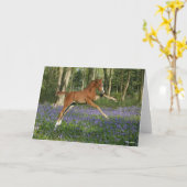Bob Langrish | Morgan Foal Leaping With Bluebells カード (黄色い花)