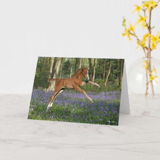 Bob Langrish | Morgan Foal Leaping With Bluebells カード (黄色い花)
