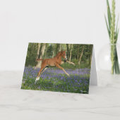 Bob Langrish | Morgan Foal Leaping With Bluebells カード (正面)