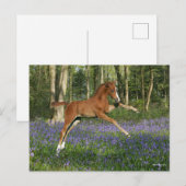 Bob Langrish | Morgan Foal Leaping With Bluebells ポストカード (正面/裏面)