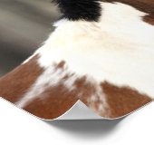 Bob Langrish | Paint Horse headshot ポスター (角)