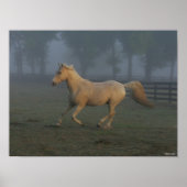 Bob Langrish | Palomino Tennessee Walker in Mist ポスター (正面)