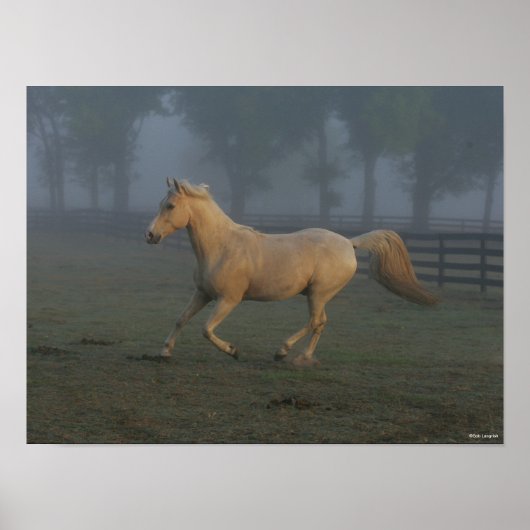 Bob Langrish | Palomino Tennessee Walker in Mist ポスター (正面)