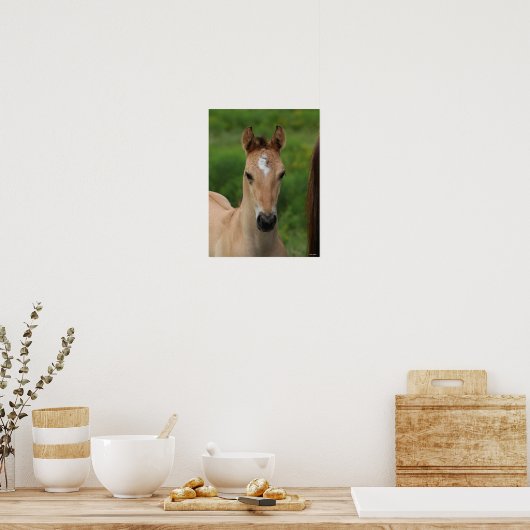 Bob Langrish | Quarter Horse Foal Headshot ポスター (キッチン)