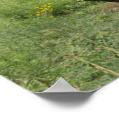 Bob Langrish | Quarter Horse Foal Running ポスター (角)