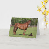 Bob Langrish Quarter Horse Mare and Foal Standing カード (黄色い花)