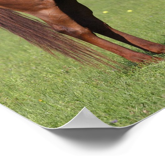 Bob Langrish Quarter Horse Mare and Foal Standing ポスター (角)