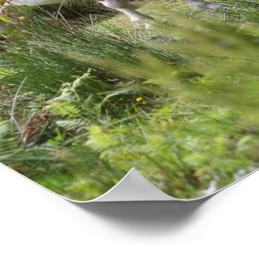 Bob Langrish | Shetland Pony Standing By Flowers ポスター (角)