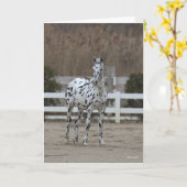 Bob Langrish | Spotty Appaloosa Friesian Standing カード (黄色い花)
