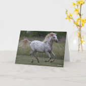 Bob Langrish | Spotty Pony Of America Running カード (黄色い花)