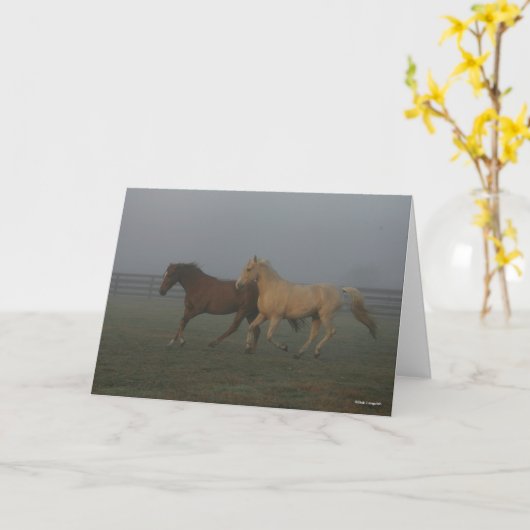 Bob Langrish | Tennessee Walking Horses Running カード (黄色い花)