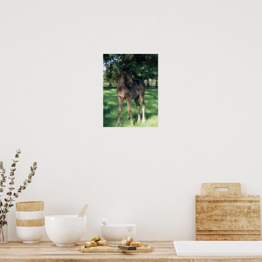 Bob Langrish | Thoroughbred Foal Standing In Field ポスター (キッチン)