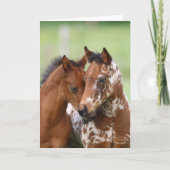 Bob Langrish | Two Appaloosa Foals Meeting カード (正面)