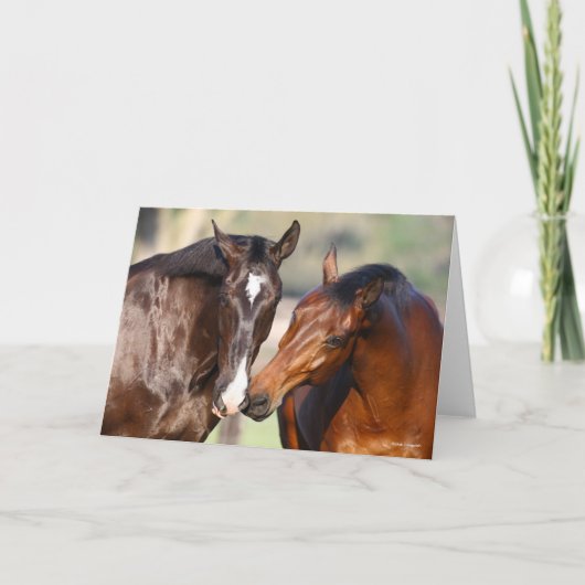 Bob Langrish | Two Canadian Sport Horses Meeting カード (正面)