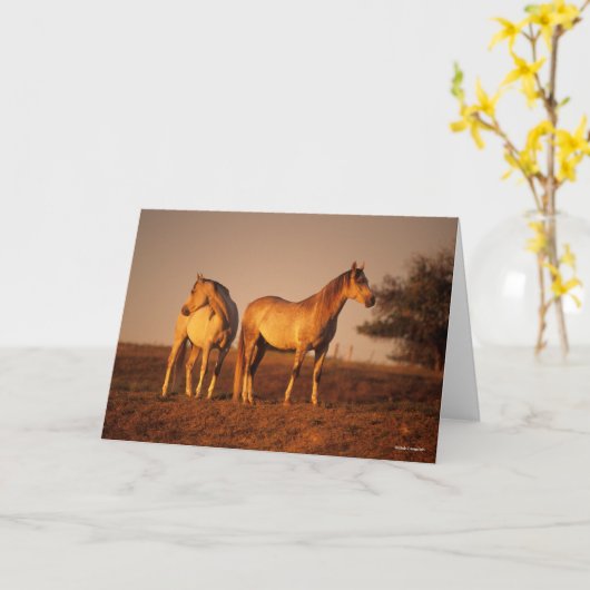 Bob Langrish | Two Grey Arabs Standing at Sunset カード (黄色い花)