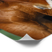 Bob Langrish | Two Horses Heads Together ポスター (角)