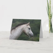 Bob Langrish | Welsh Section A Pony Headshot カード (正面)