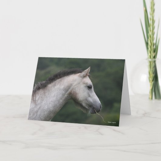 Bob Langrish | Welsh Section A Pony Headshot カード (正面)