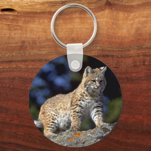 Bobcat キーホルダー (正面)