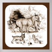 Bobcat Family ポスター (正面)