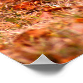 Bobcat Hunting | Autumn Forest ポスター (角)