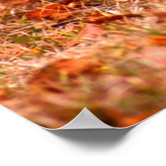 Bobcat Hunting | Autumn Forest ポスター (角)