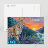 Bobcat / Lynx at sunrise by waterfall ポストカード (正面/裏面)