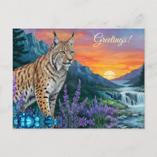 Bobcat / Lynx at sunrise by waterfall ポストカード (正面)