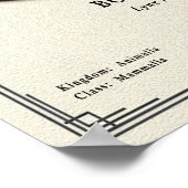 Bobcat Zoology Series ポスター (角)