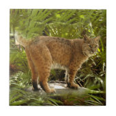 BobcatBCR004 タイル (正面)