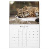 BobcatBCR031のボブキャット カレンダー (2月 2027)