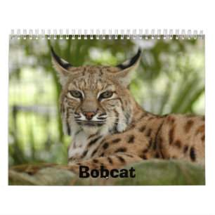 BobcatBCR031のボブキャット カレンダー