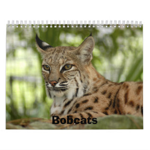 BobcatBCR032のボブキャット カレンダー