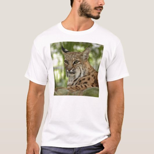 BobcatBCR032 Tシャツ (正面)