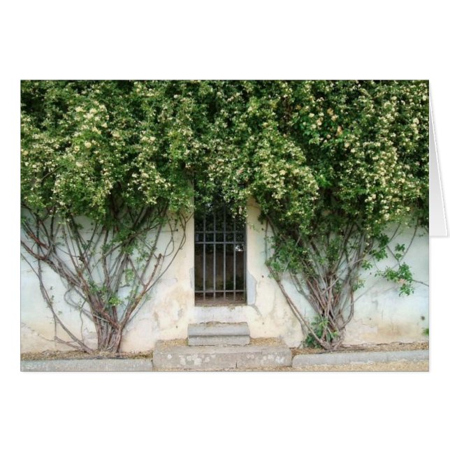 Boboliの庭 (正面横)