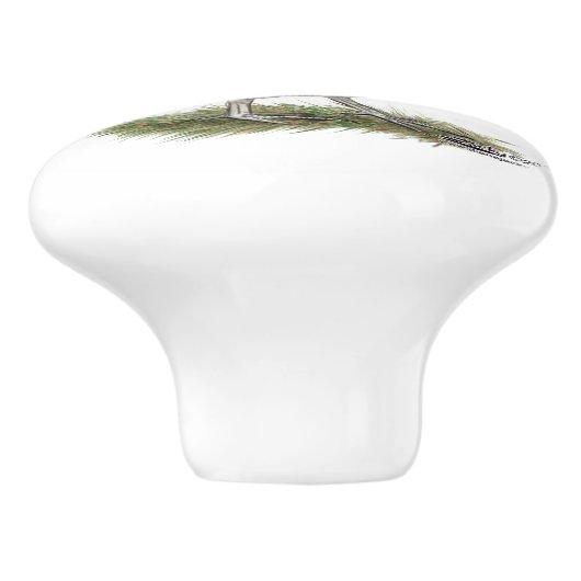 Bobwhite Quail Rooster セラミックノブ (側面)