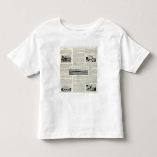 Bodega、カリフォルニア トドラーTシャツ (正面)
