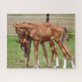 BOGOのベビーのパズル1 ジグソーパズル (横)