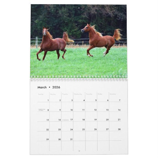 BOGOの子馬のカレンダーの3歳児の写真 カレンダー (3月 2026)
