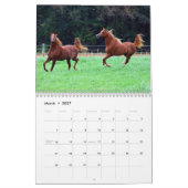BOGOの子馬のカレンダーの3歳児の写真 カレンダー (3月 2027)