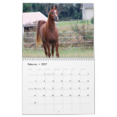 BOGOの子馬のカレンダーの3歳児の写真 カレンダー (2月 2027)