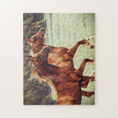 BOGOの子馬の芸術的なパズル ジグソーパズル (縦)