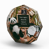 Bohoニュートラル妊娠告知かわいいパンダ フォトブロック (右)