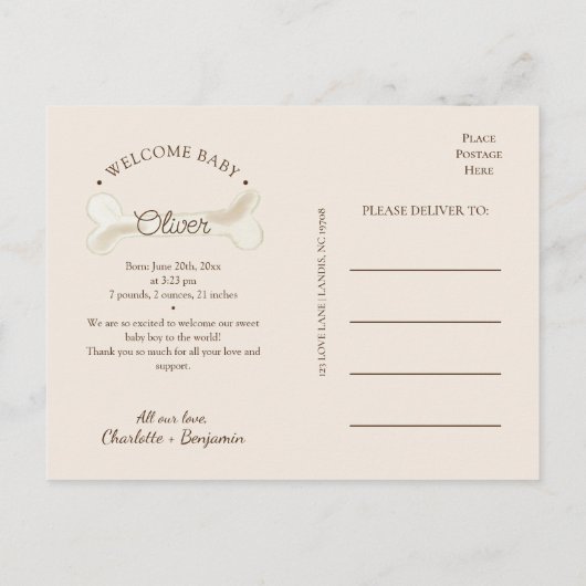 Boho恐竜の写真の誕生発表はがき 案内ポストカード (裏面)