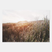 Boho Grass Fieldフォトギフト ラッピングペーパーシート (正面3)