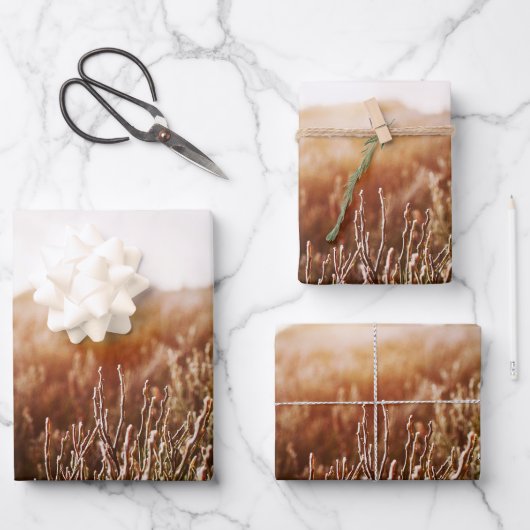 Boho Grass Fieldフォトギフト ラッピングペーパーシート (正面)